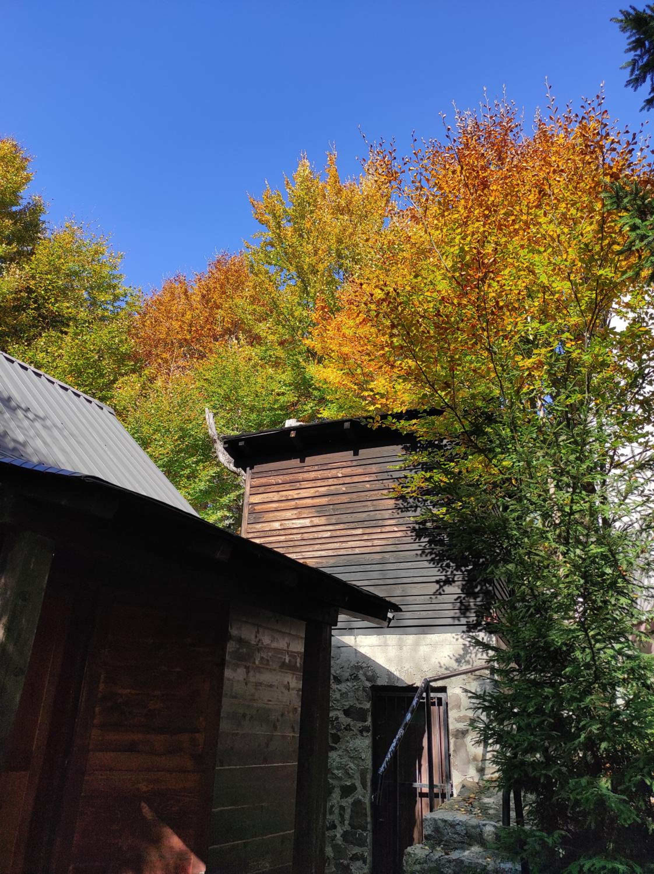 Drvenica Cabin
