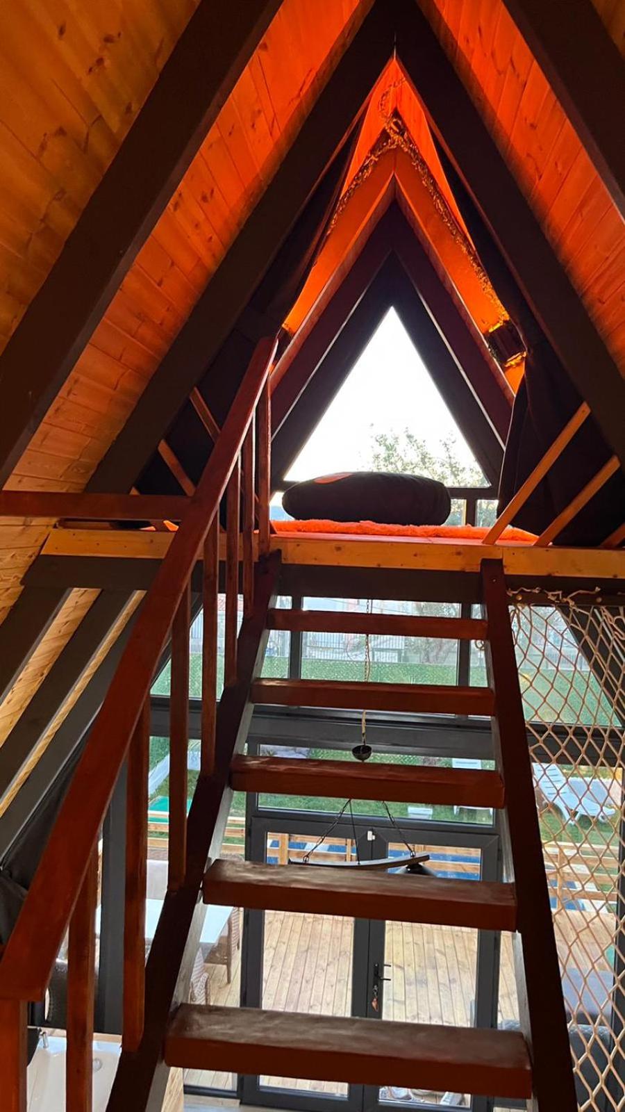 Tiger House 3 Oda view 5
