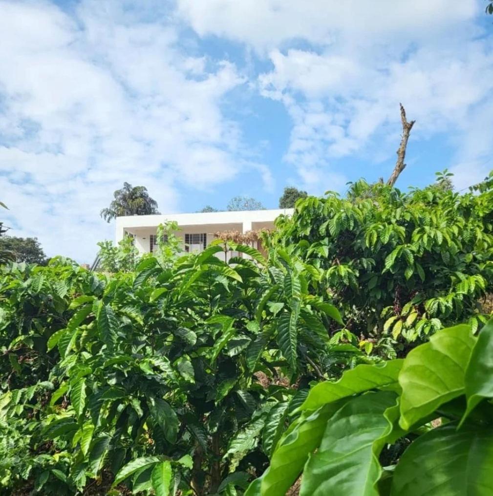 Kadnukall Homestay