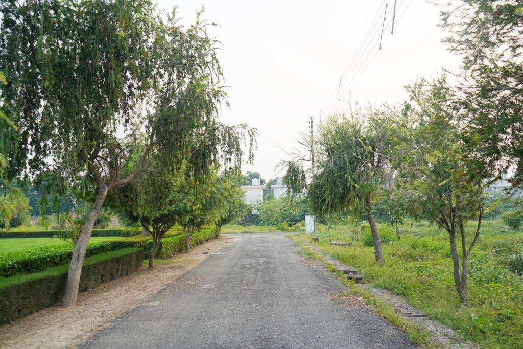 Forest Nook Charming Mountain view 2bhk
