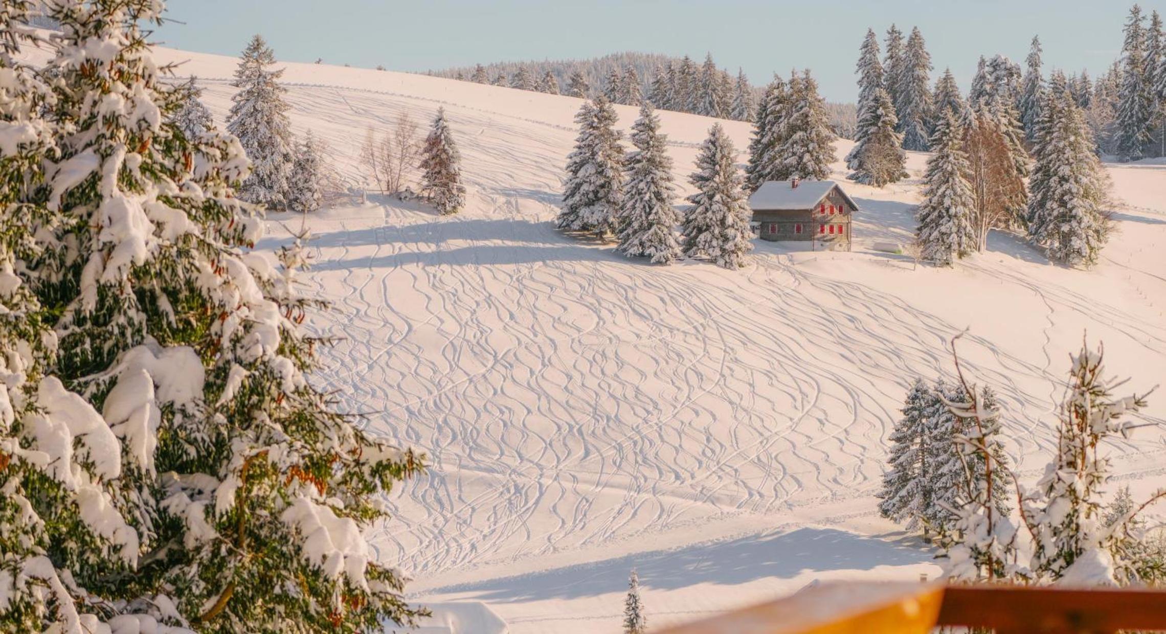 Chalet Foret - Ferienwohnung