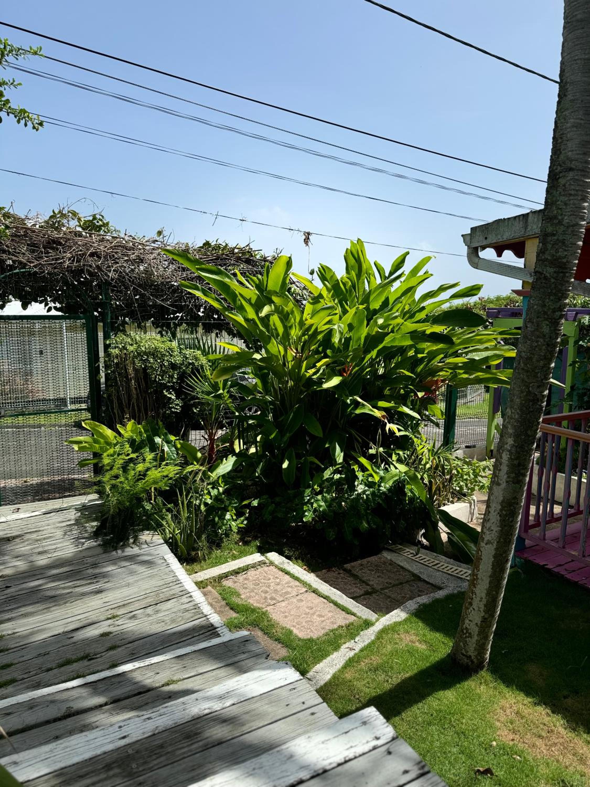 Alpinia bungalow