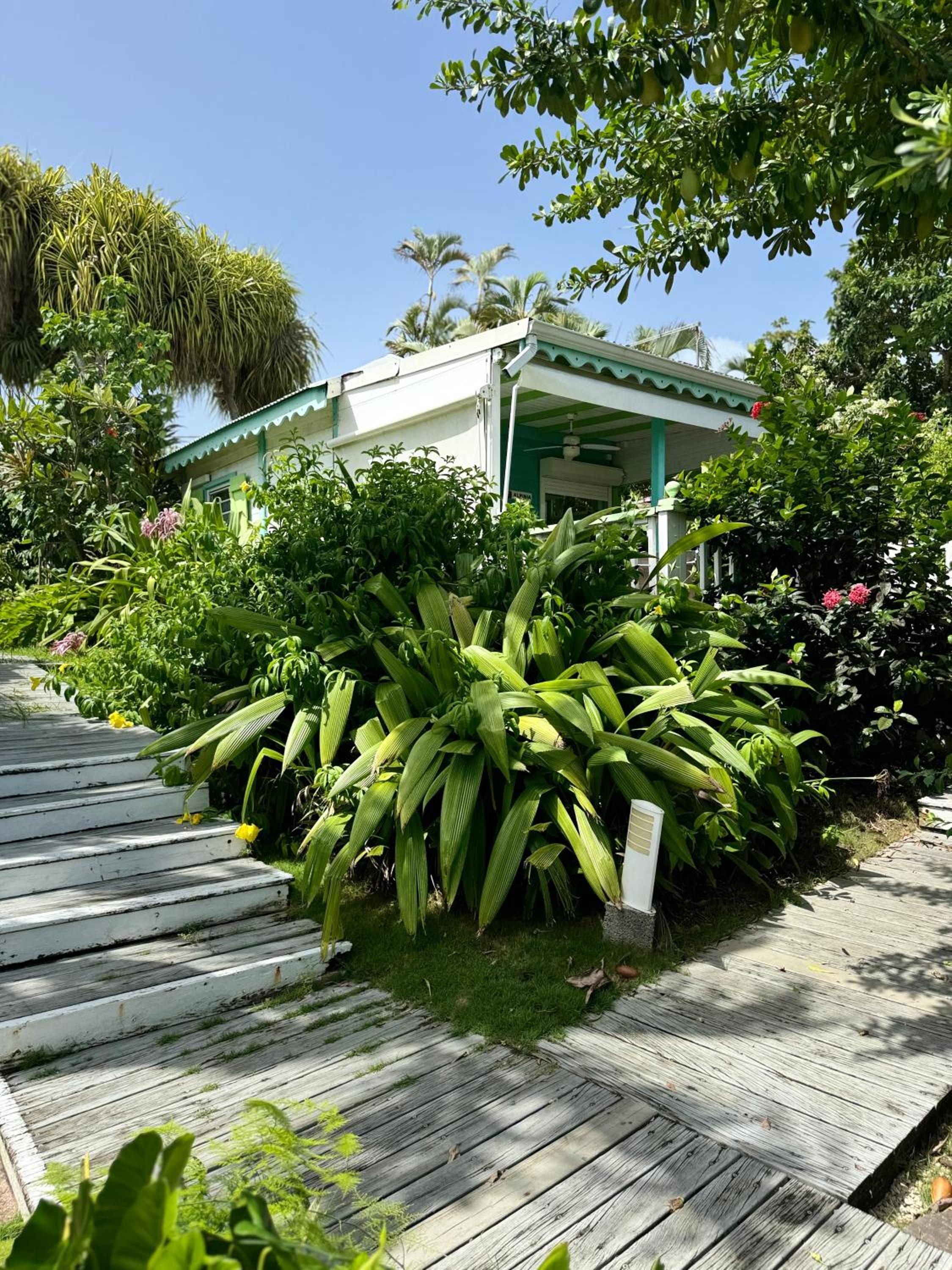 Alpinia bungalow