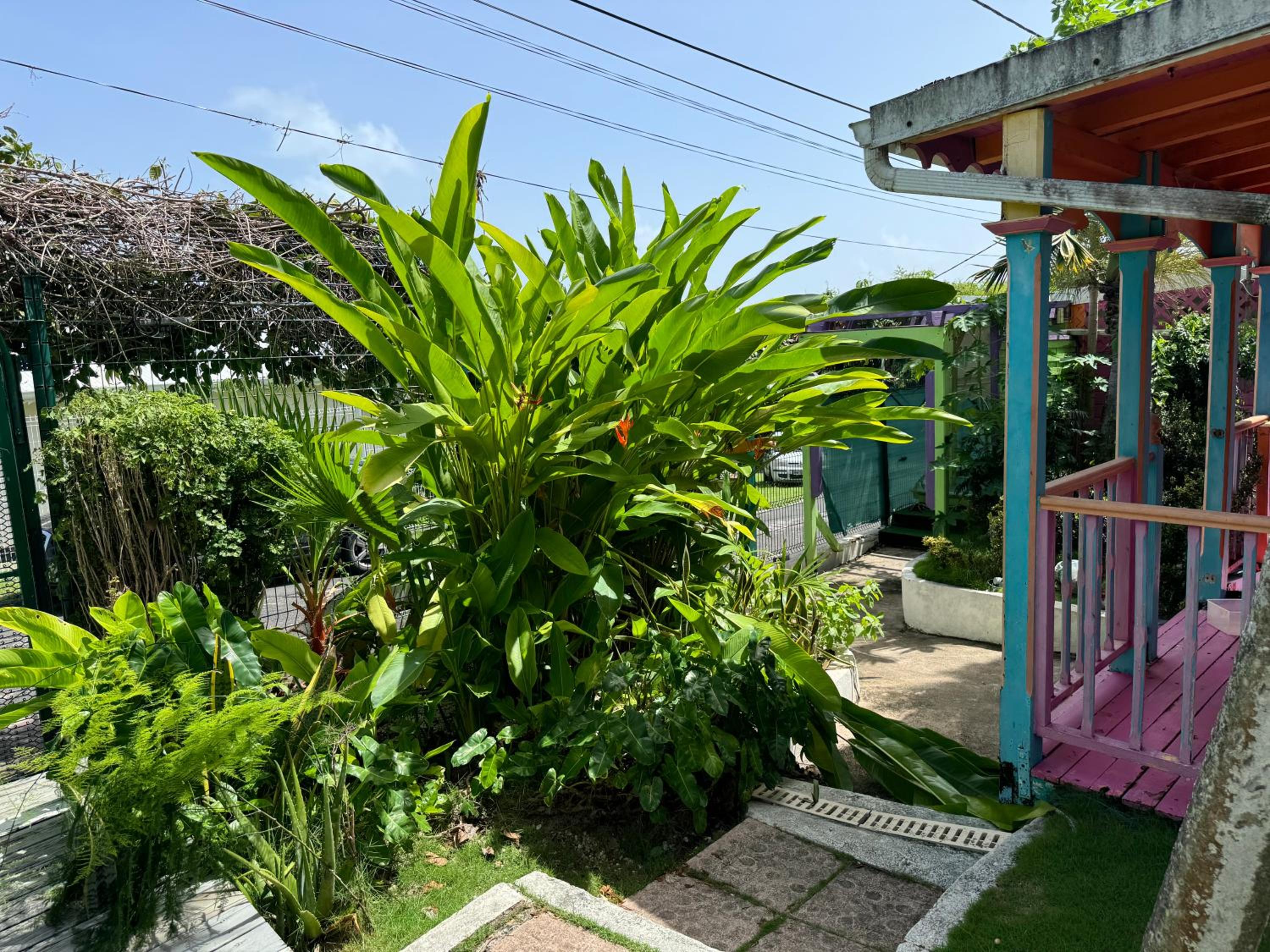 Alpinia bungalow