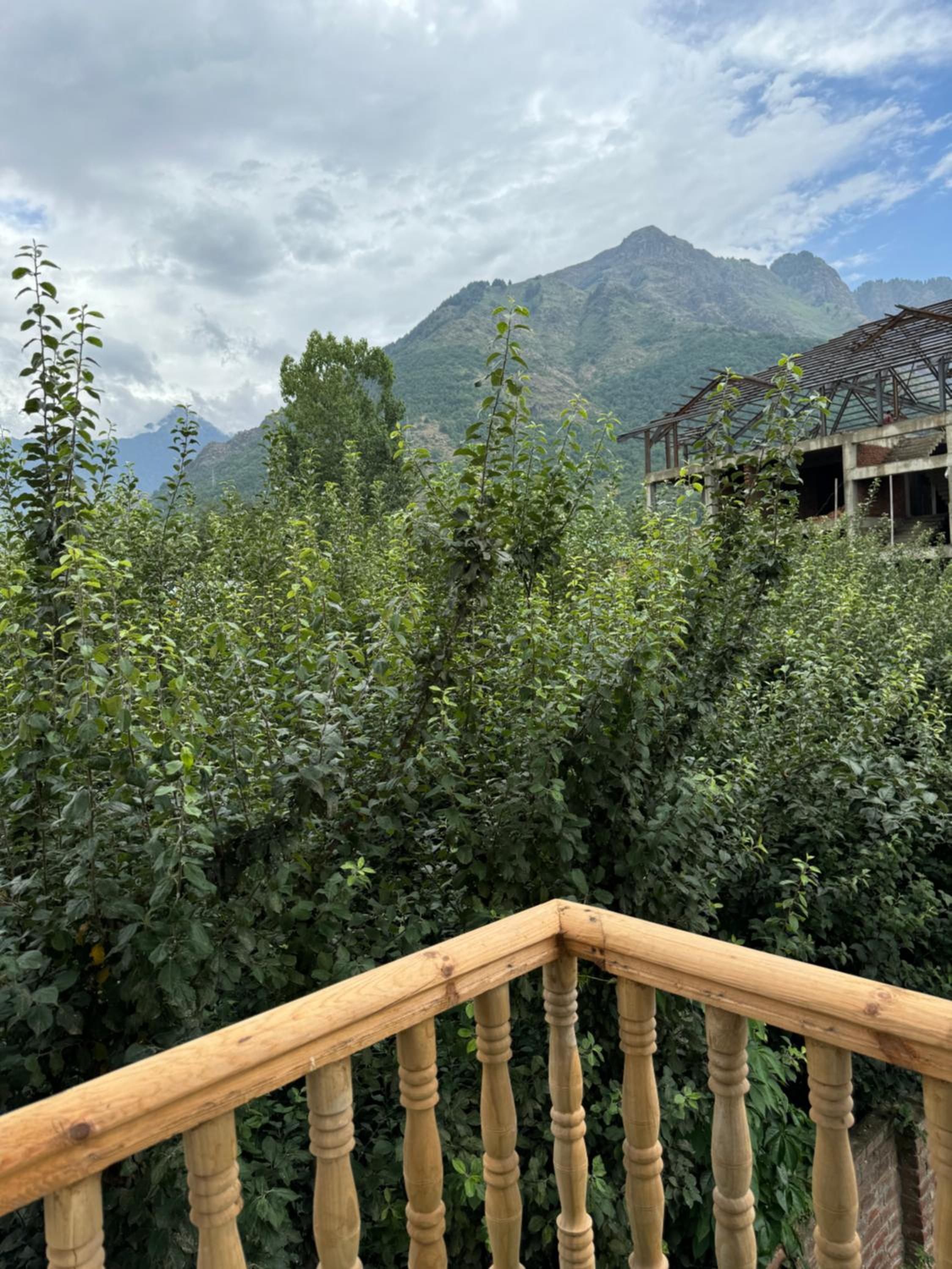 Shesh Bagh Boutique Homestay Luxury Retreat Srinagar view 3