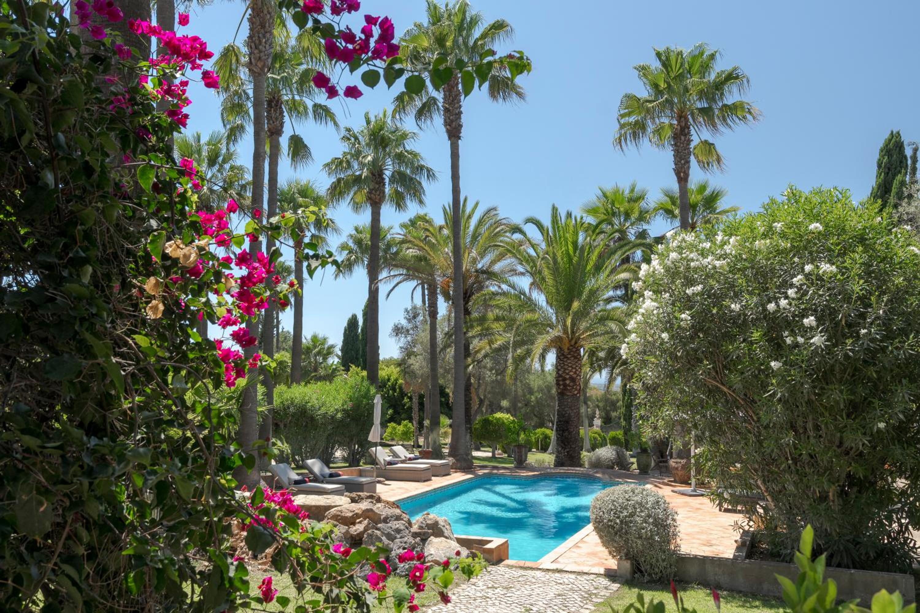 Villa Oasis by CadenzaLux view 5