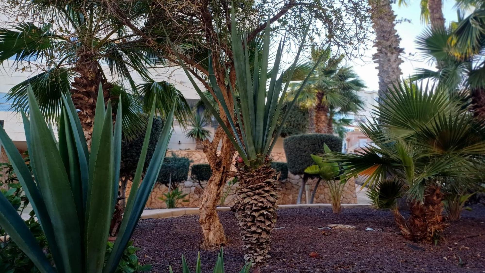 Privat villa Baywatch with seaview La Mata Torrevieja