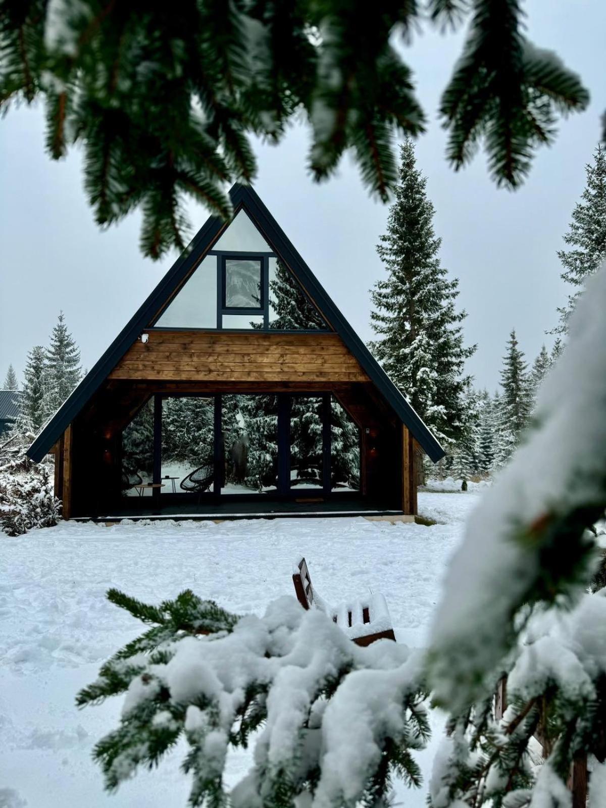 Mountain Homes Durmitor 1 view 5