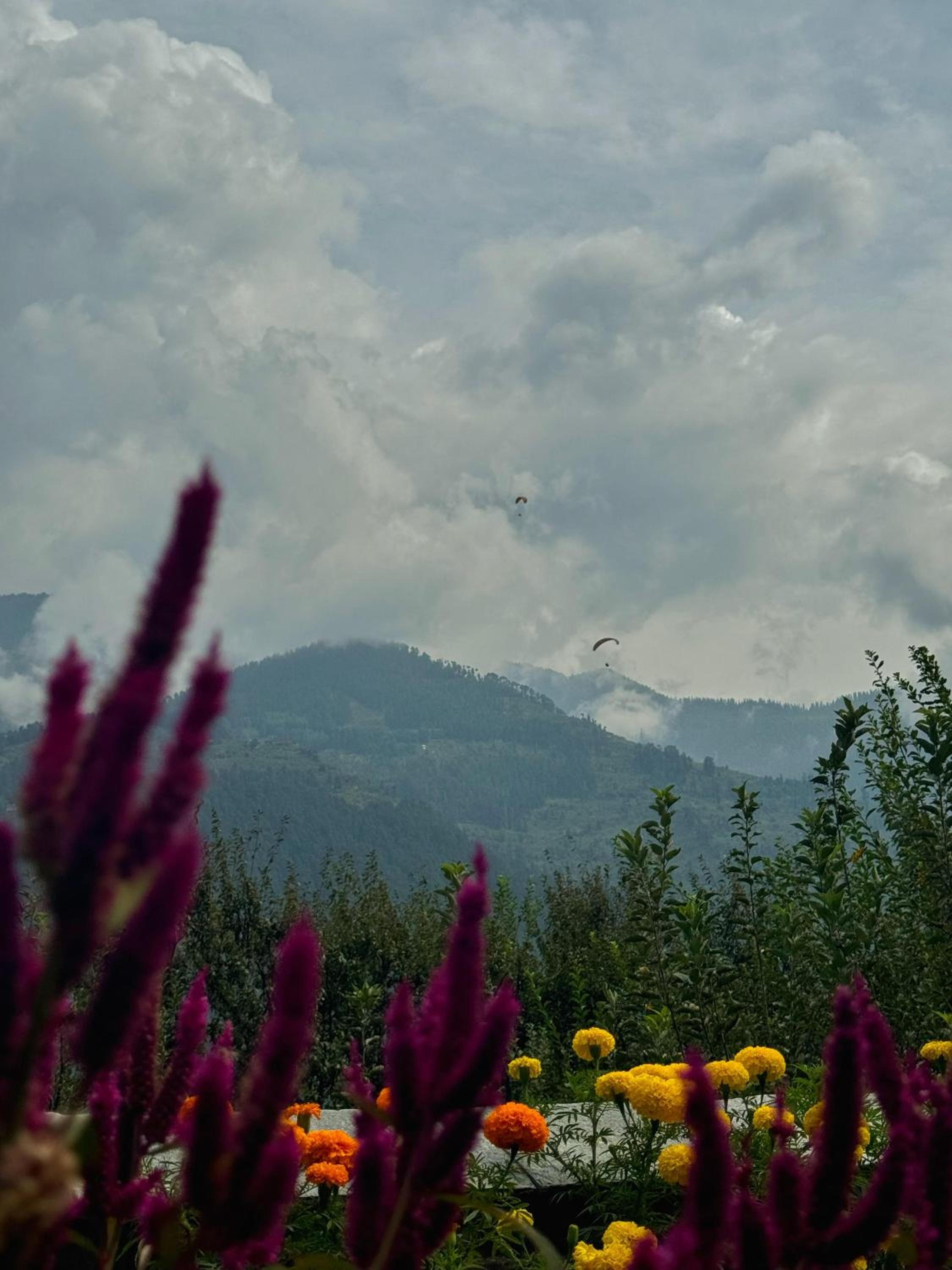 Aangan - 3 BHK Himalayan Luxury Villa by Mid Orchard view 5