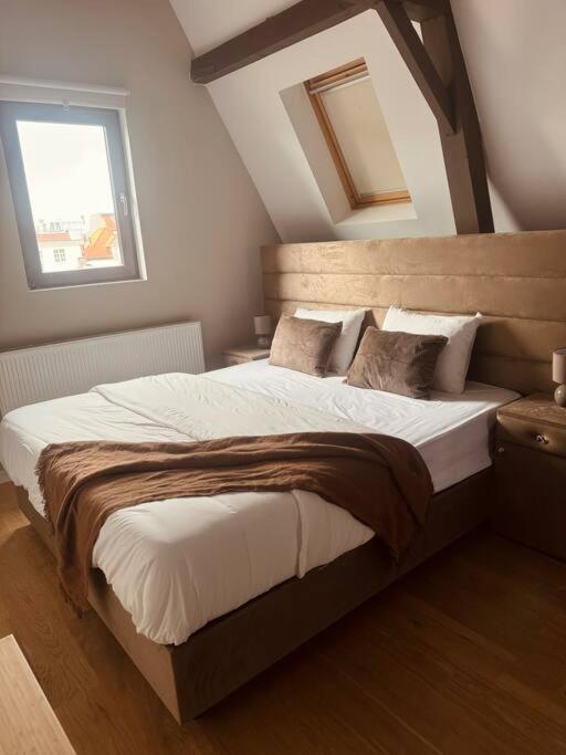 Antwerpian Old Town Stay