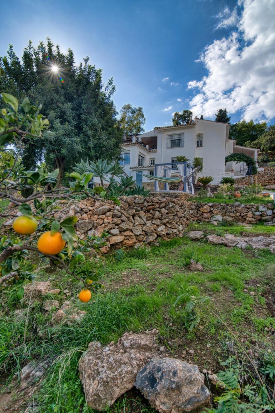 Villa Morera Bed & Breakfast view 5