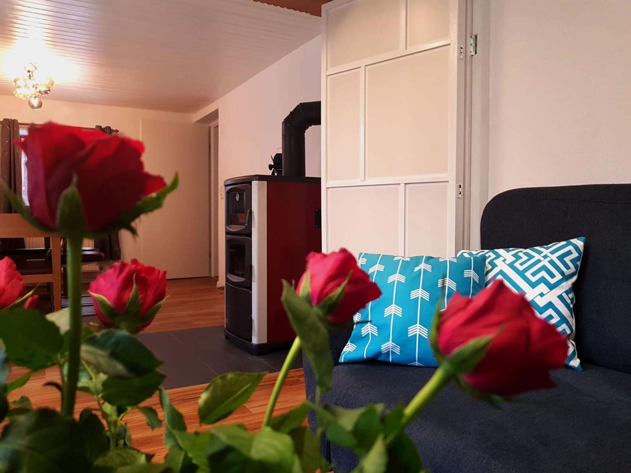 Ferienhaus TraunseeStrand