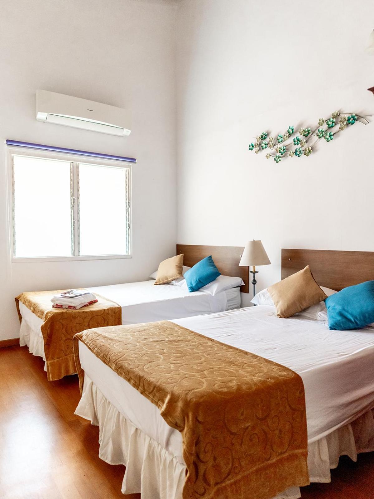 Bubali Gardens - Eagle Beach's Oasis view 2