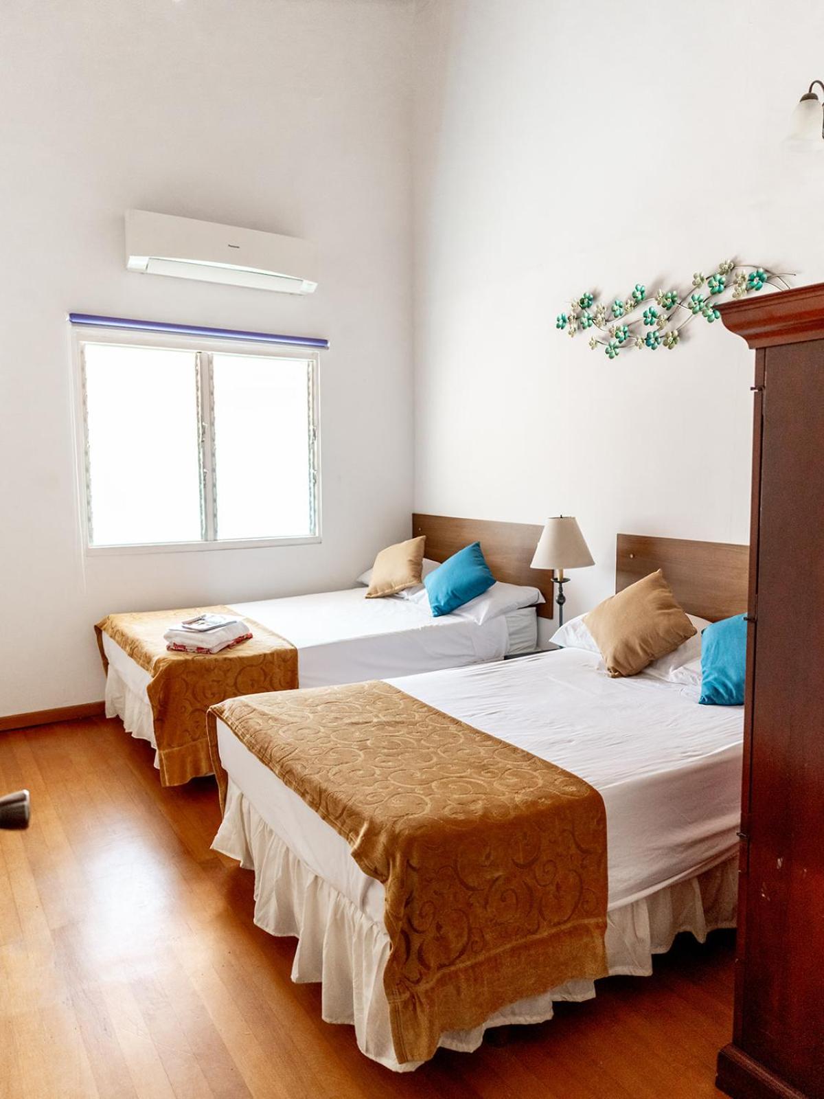 Bubali Gardens - Eagle Beach's Oasis view 4