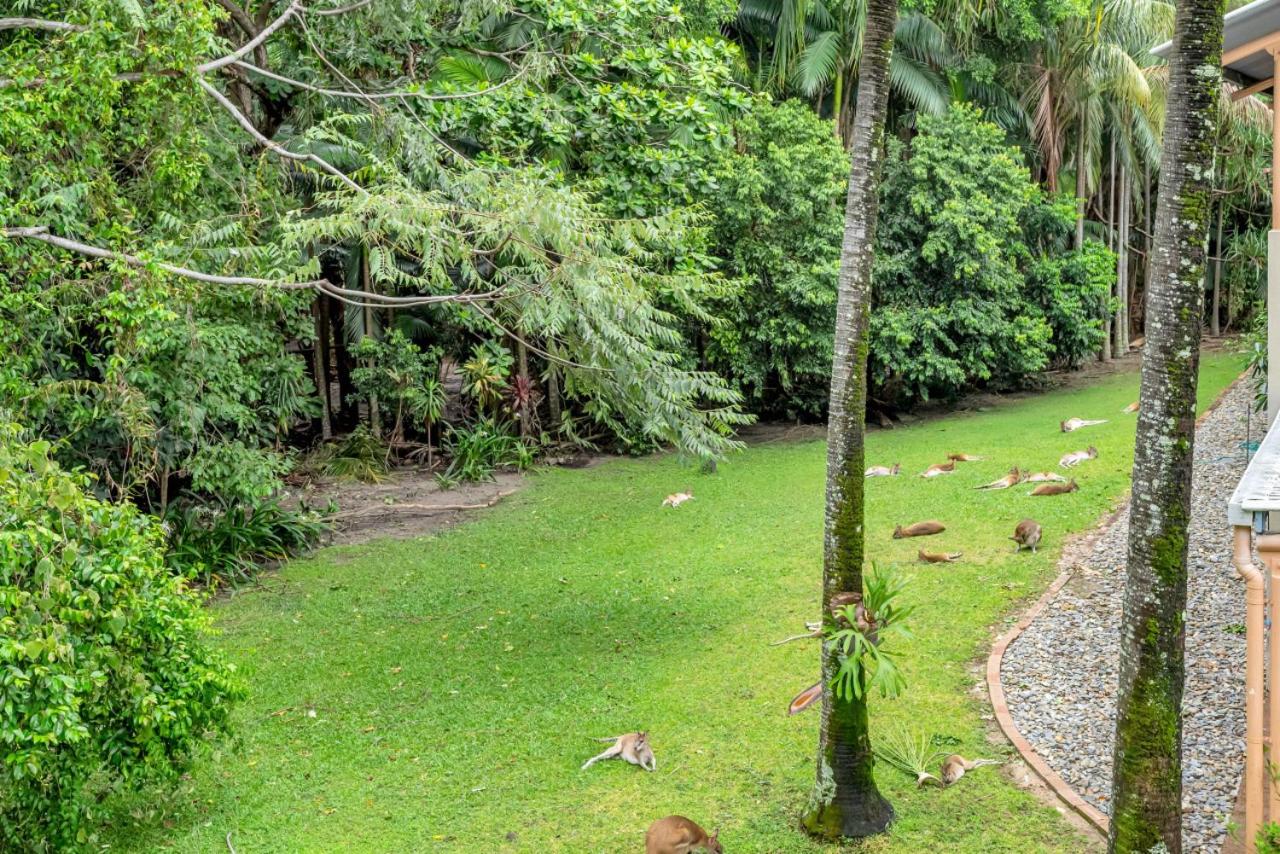 Wallaby Outlook The Perfect Family Escape