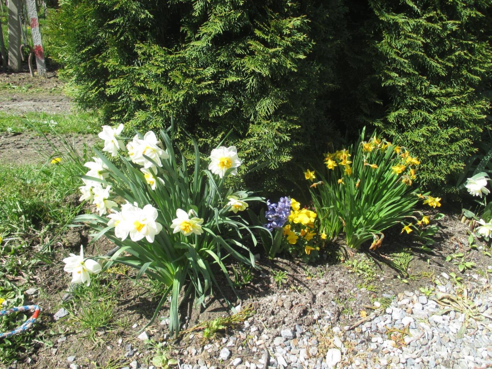 Photo 57