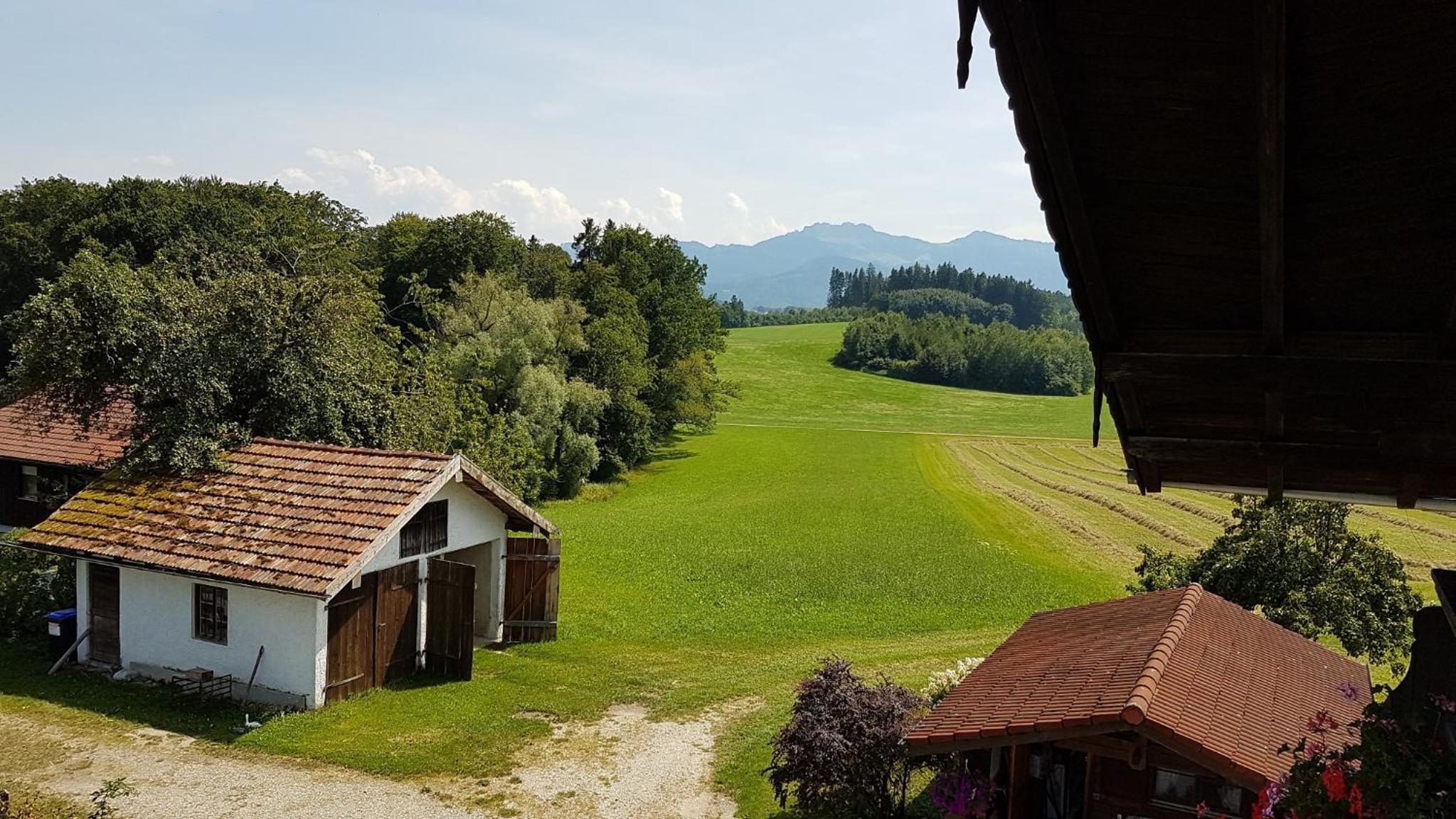 Munzingerhof