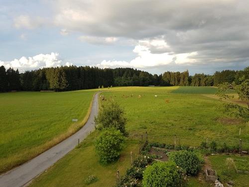 Munzingerhof