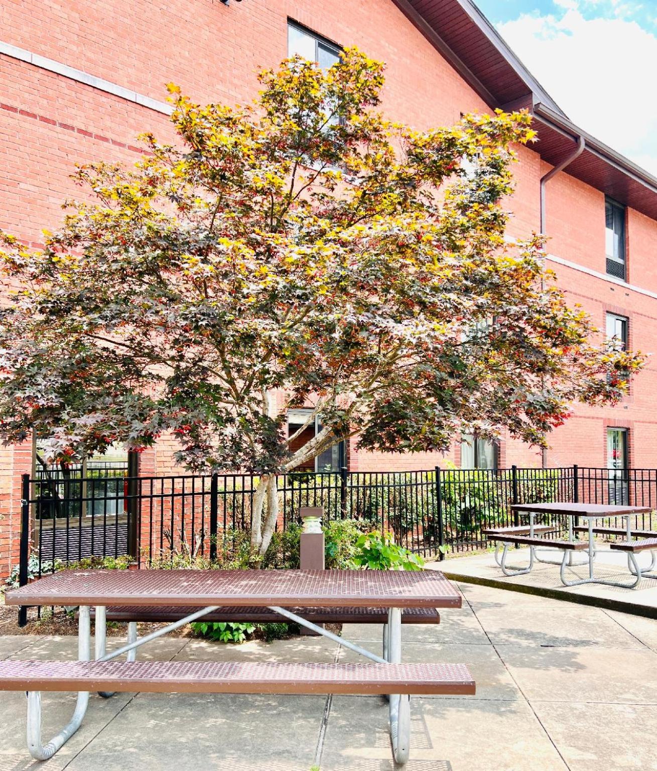 MainStay Suites Little Rock West Near Medical Centers, Φωτογραφία 17