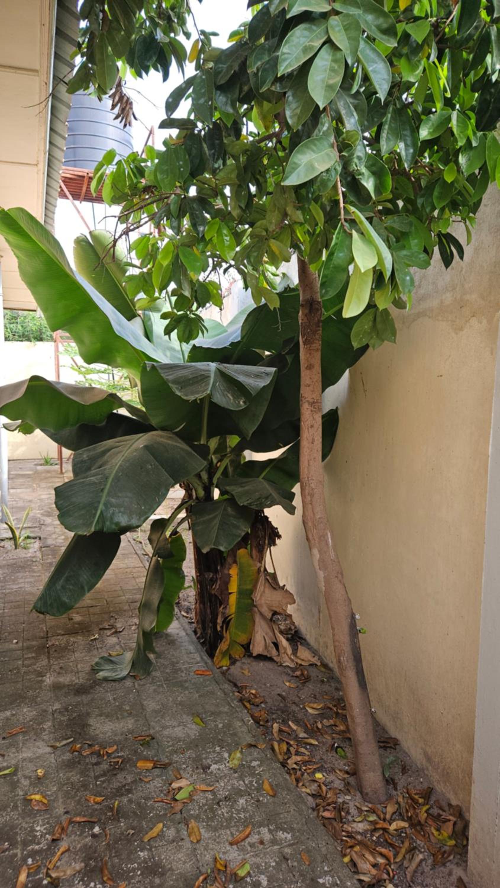 Senegambia House 2 Double Bedroom
