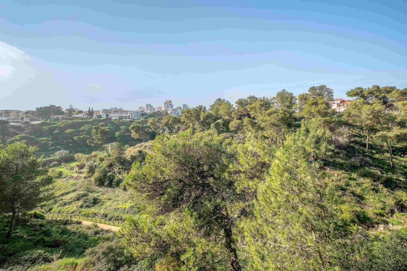 GuestReady - Quiet Retreat in Cascais