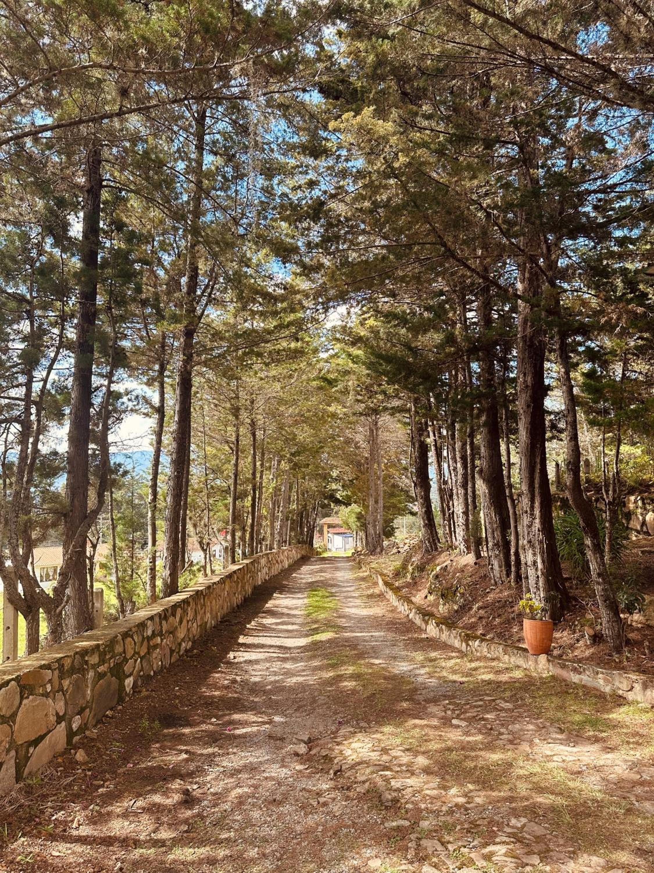 Lo Nuestro Hotel Casa Campestre Villa de Leyva