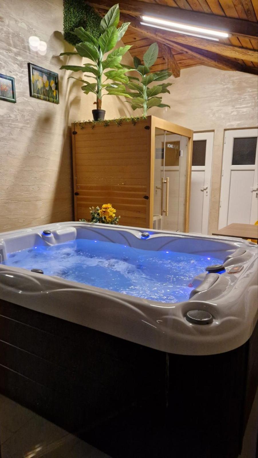 Villa, Vikendica - Sunny Hill - jacuzzi, sauna