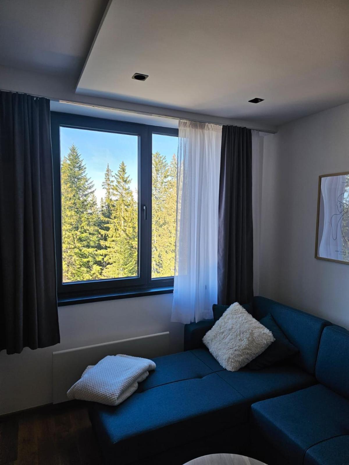 Apartment 308 in aparthotel Zlatni Javor - private host