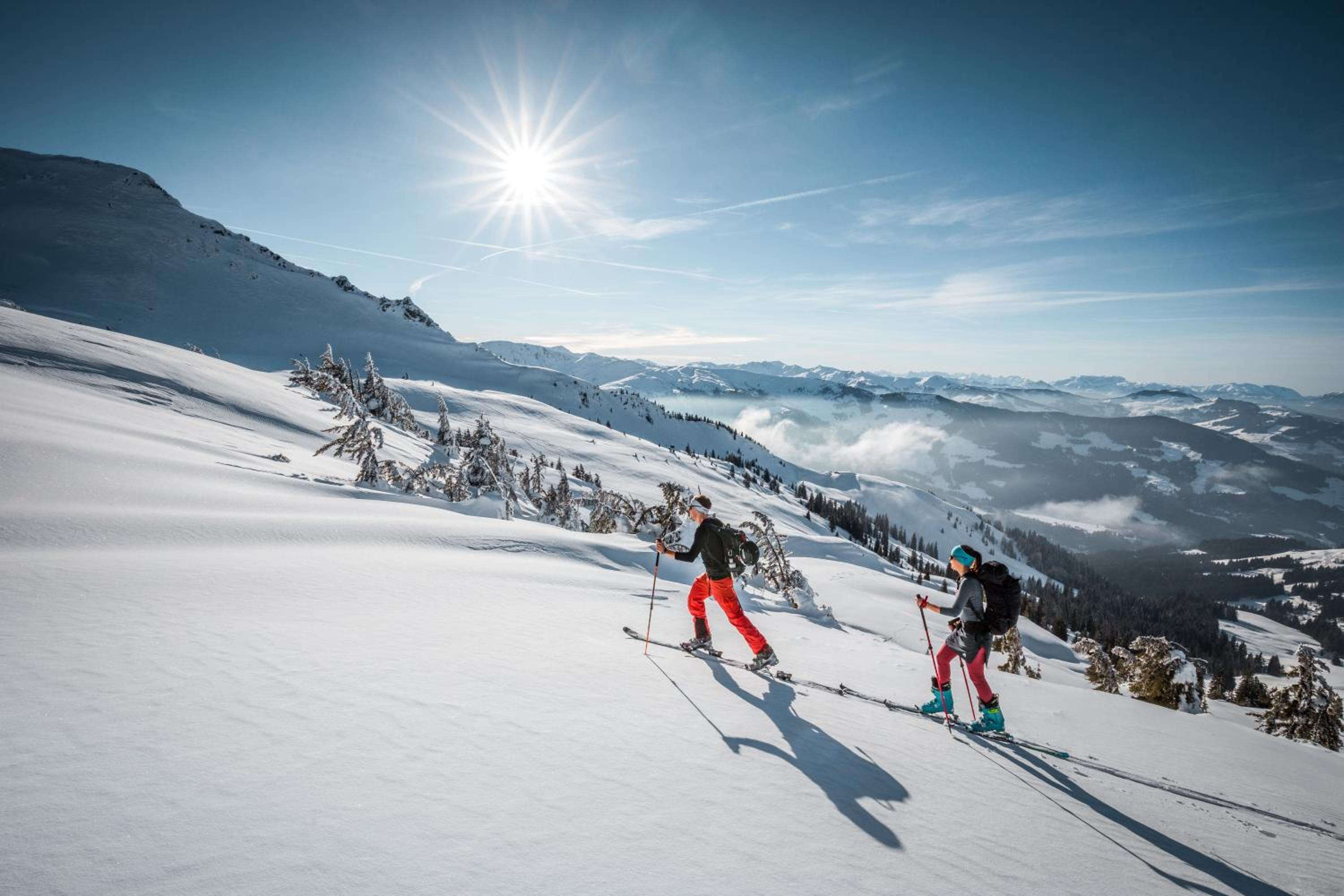 Chalet Alpenherz