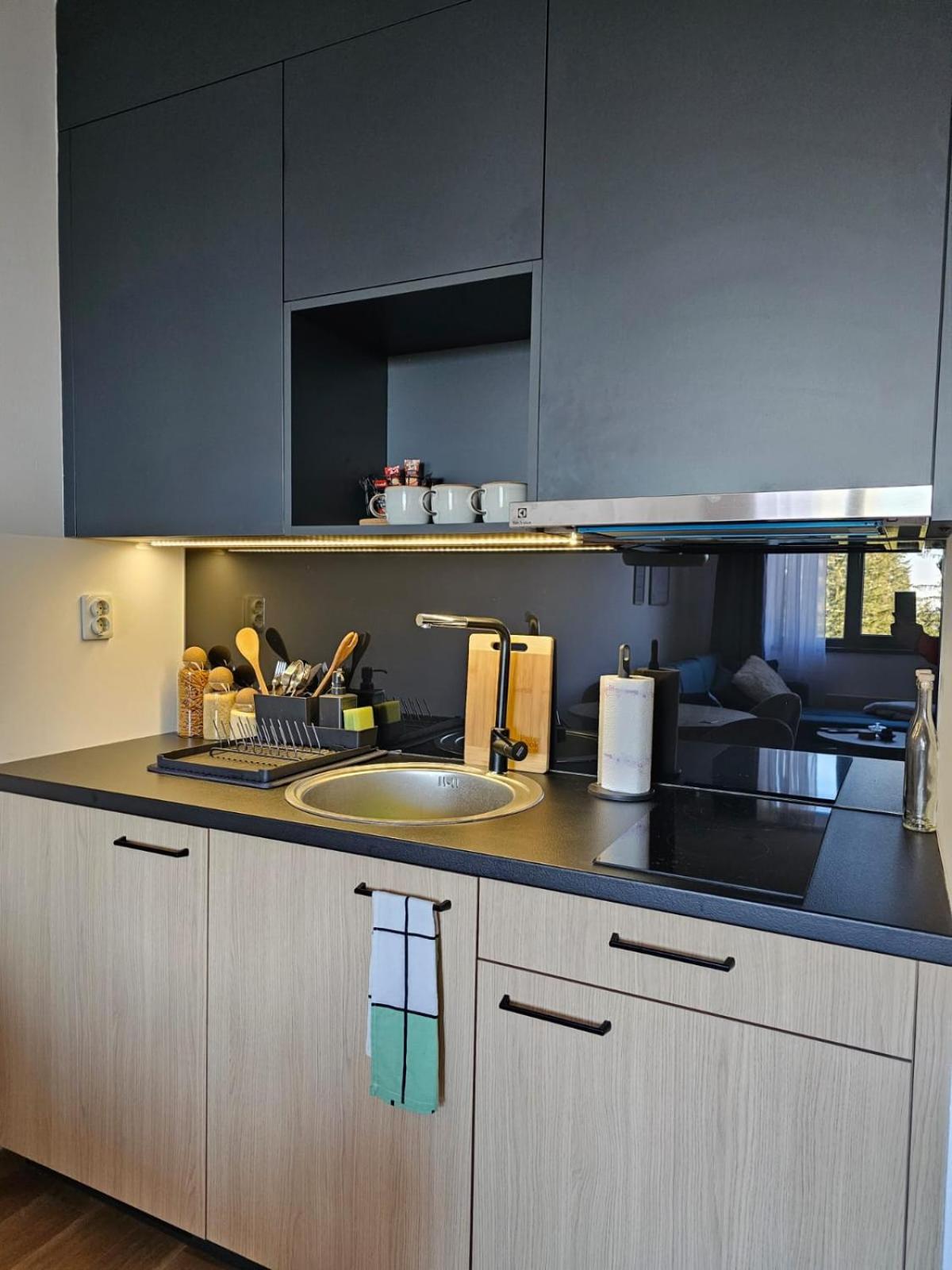 Apartment 308 in aparthotel Zlatni Javor - private host