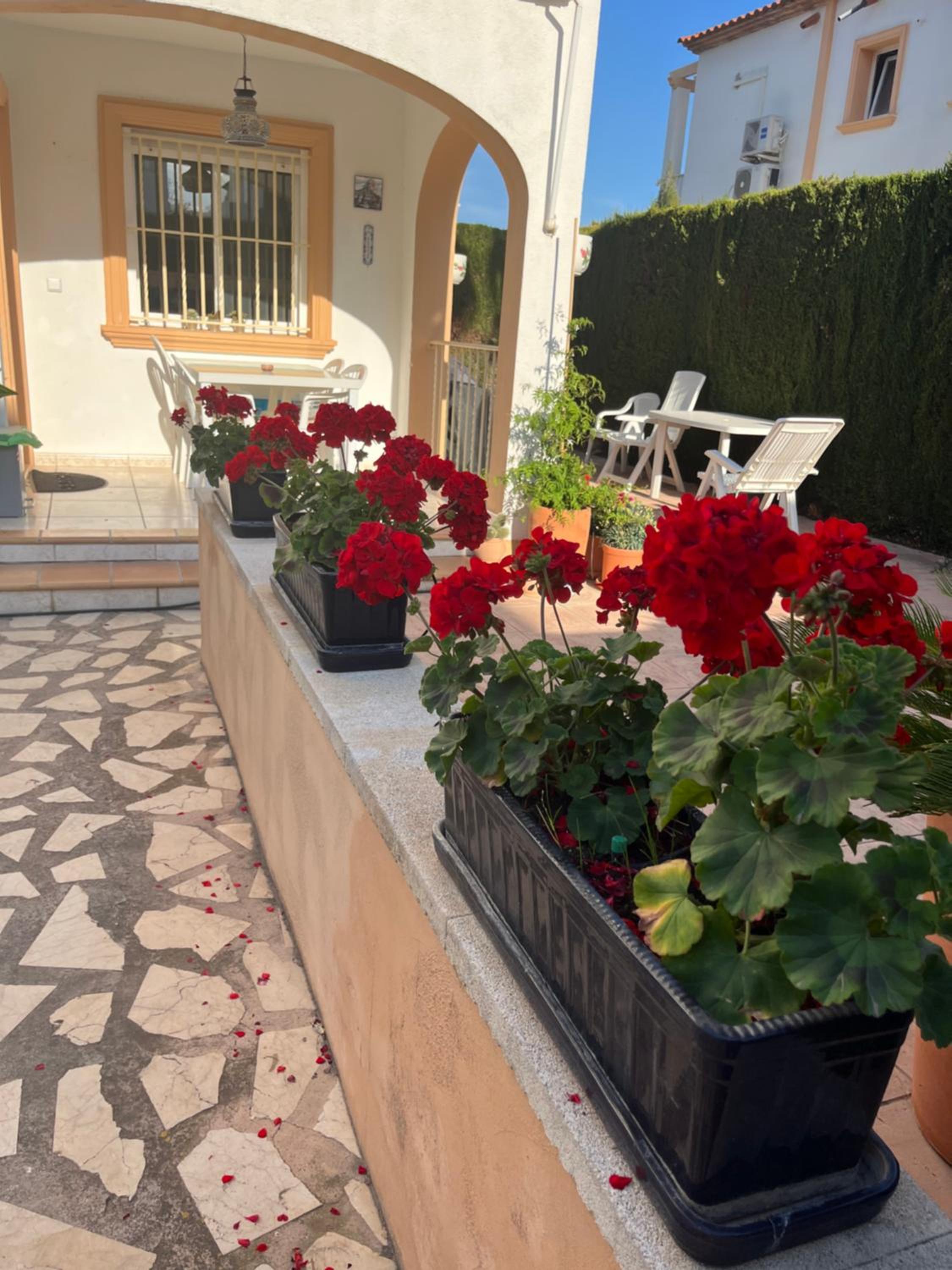 Bougain-casa