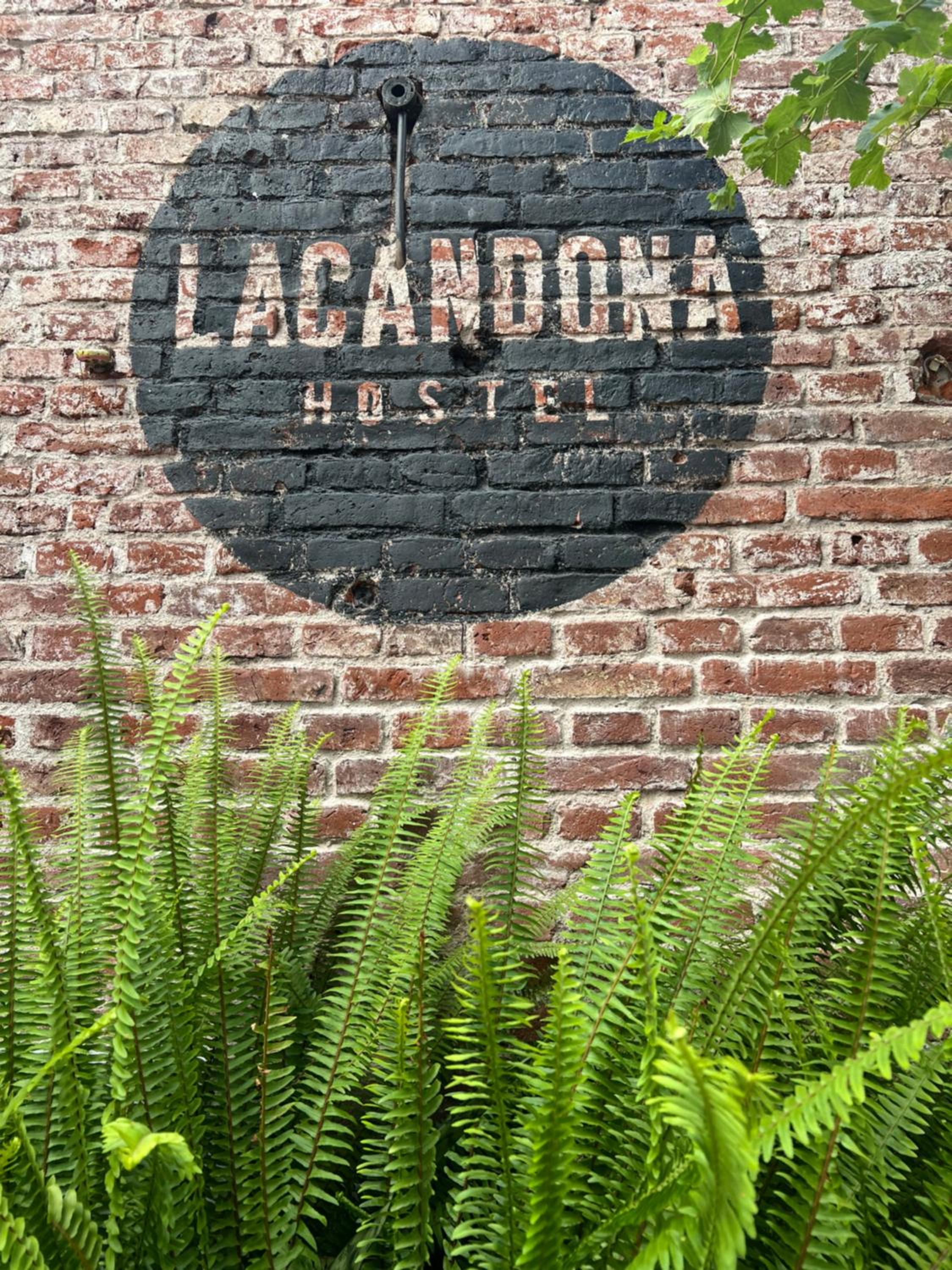 Lacandona Hostel