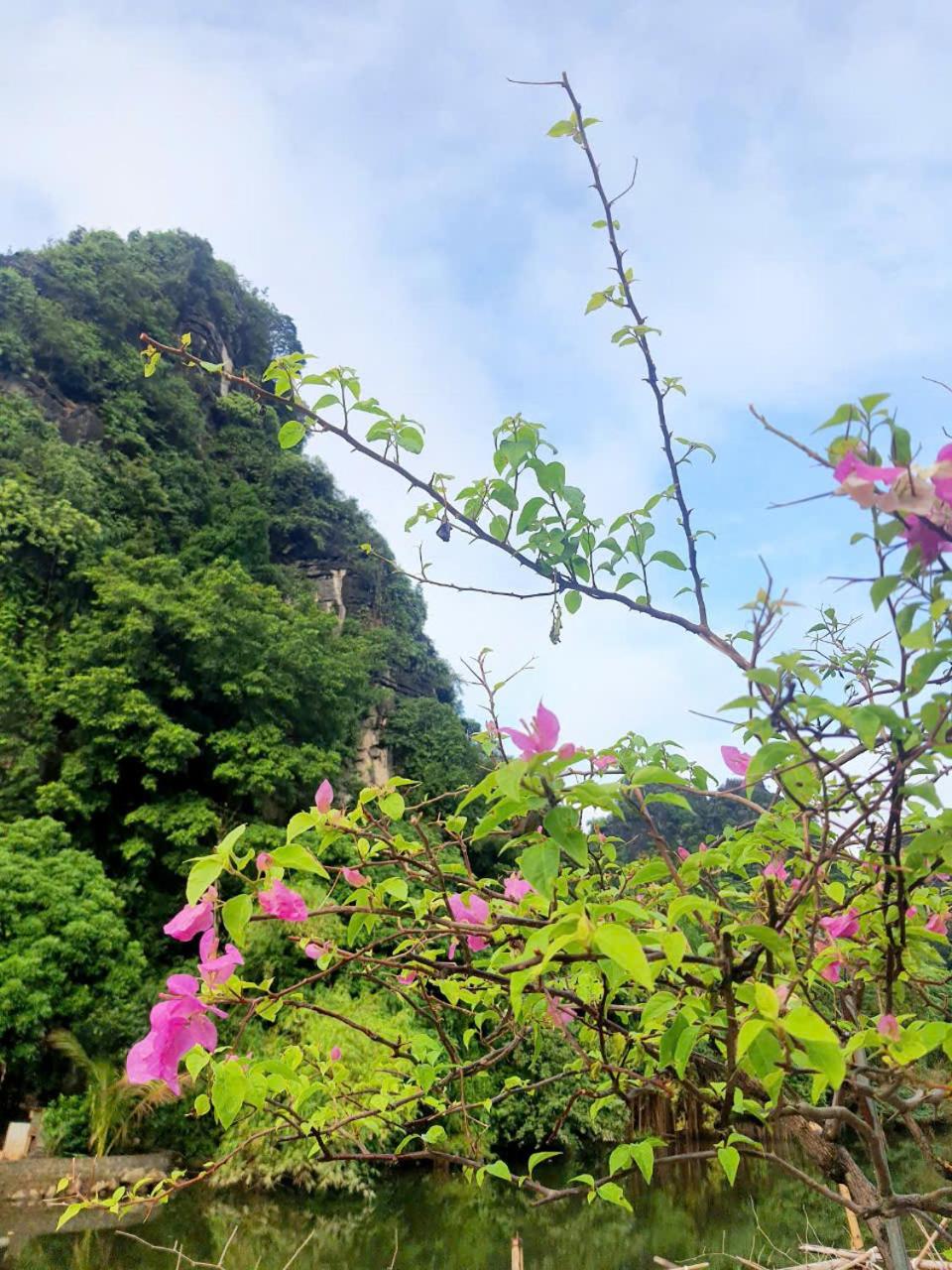 Trang An Hana homestay view 3