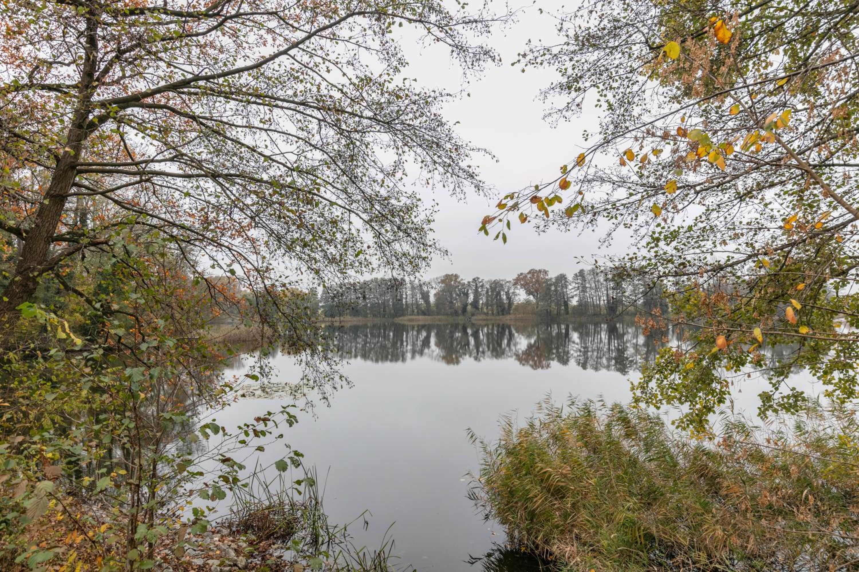 Ferienhof am See