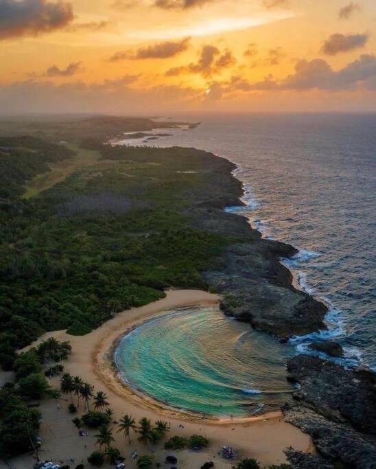 A few steps from Mar Bella Beach, Vega Baja! - Property Image 4