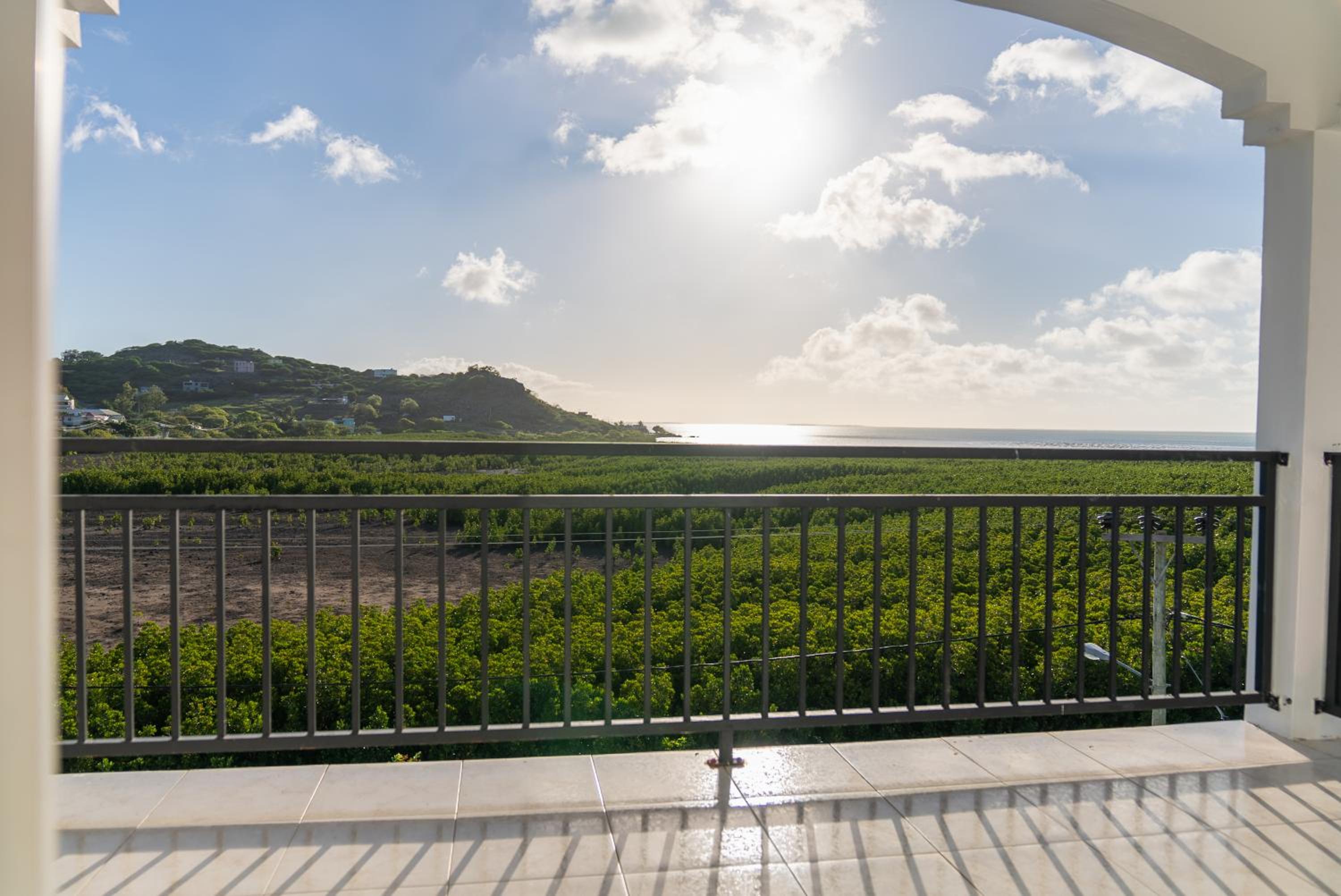 Les Manglier view 5