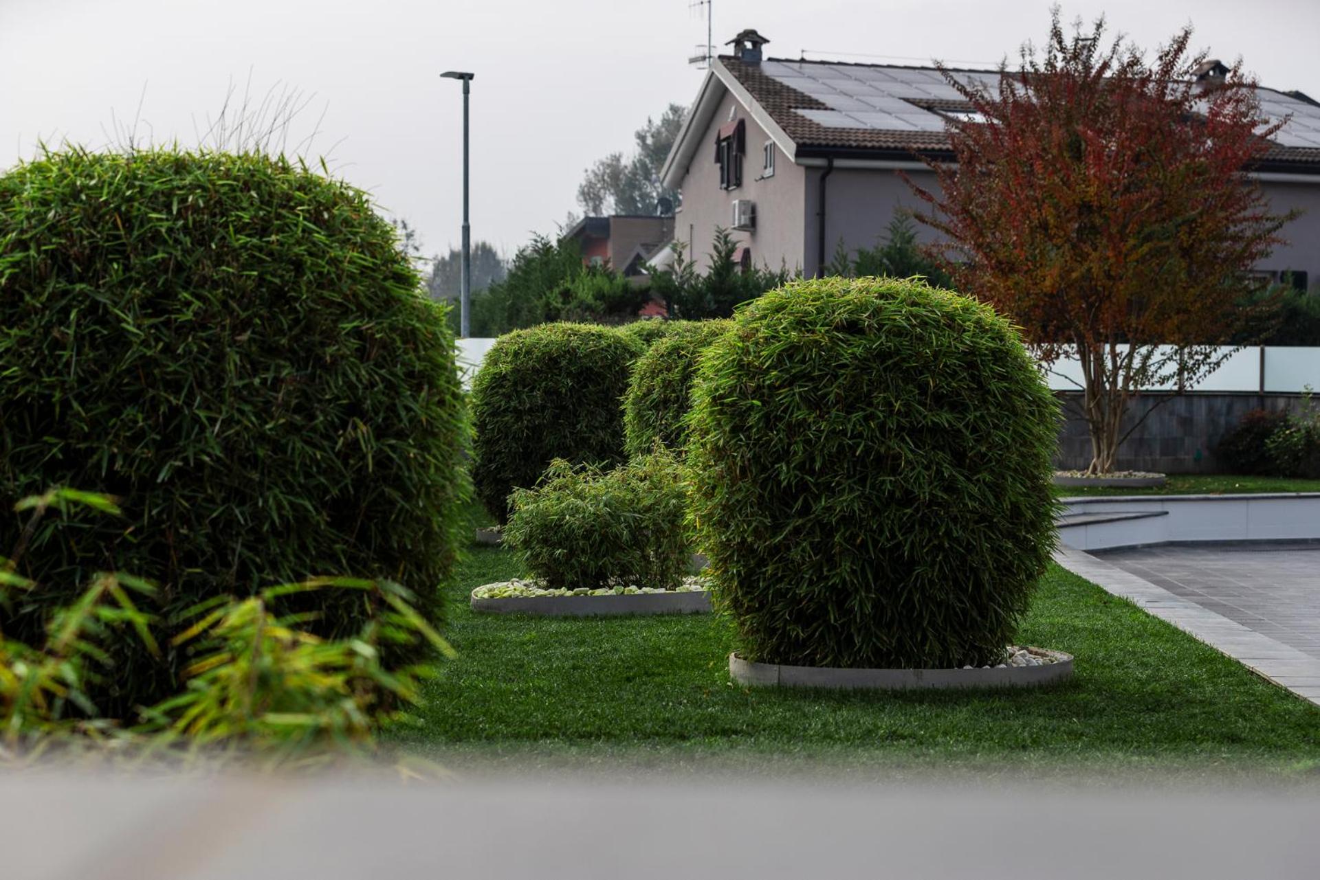 Photo 40