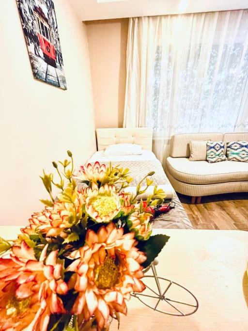 Arya studio flat in Cihangir 13