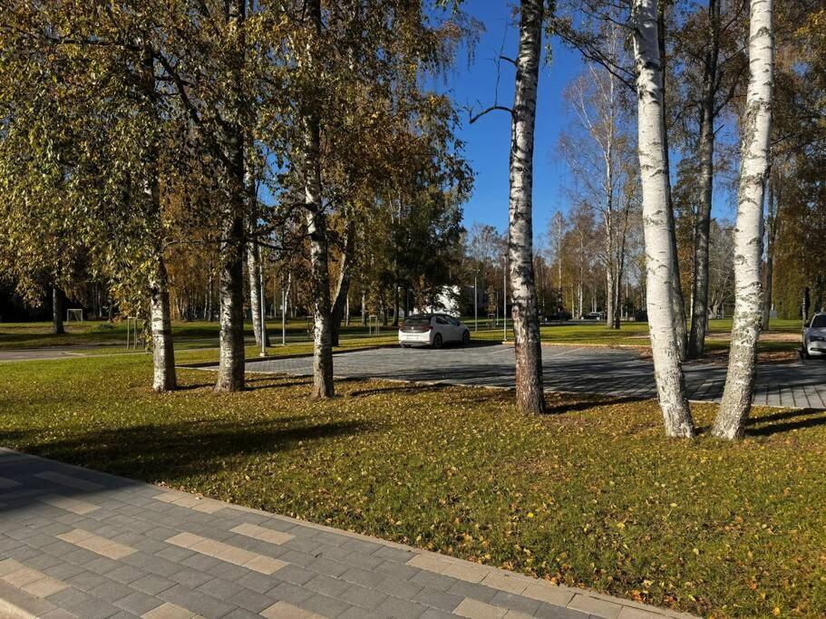 Albatros Resort SPA view 5