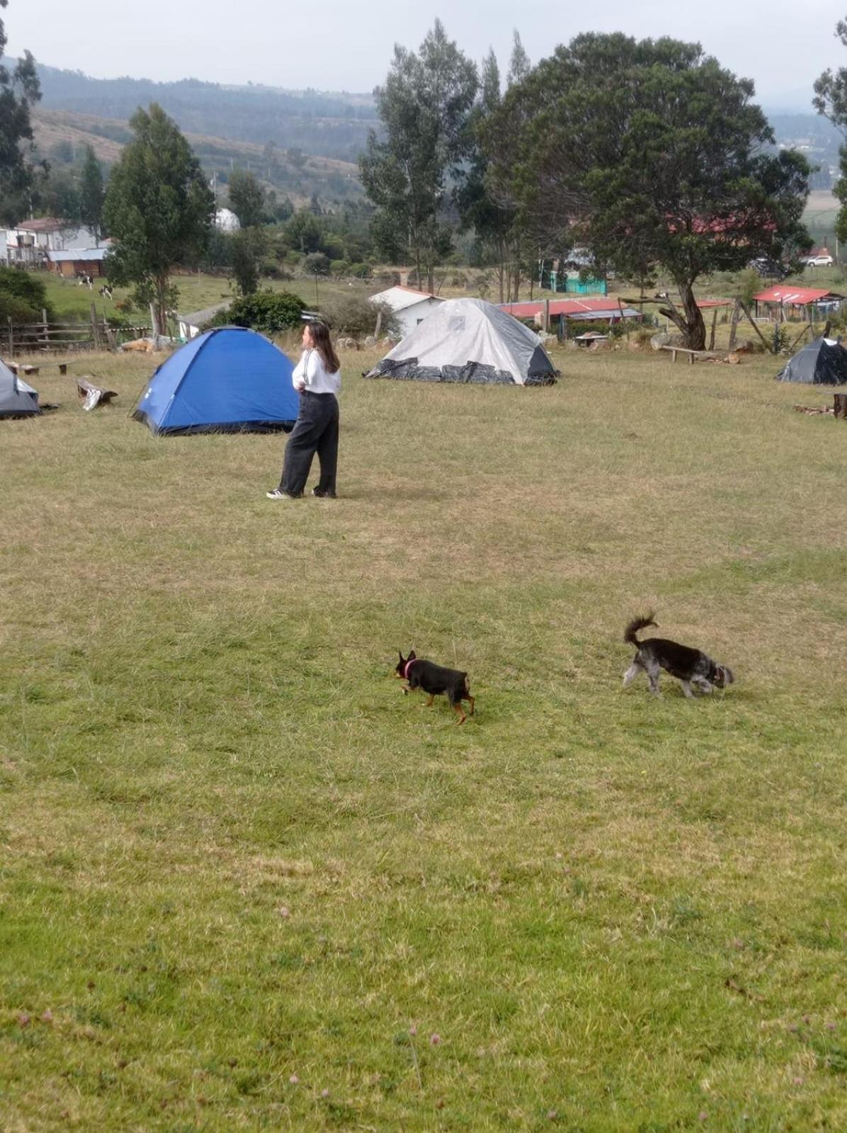 Hospedaje Guatavita cabaña tippie