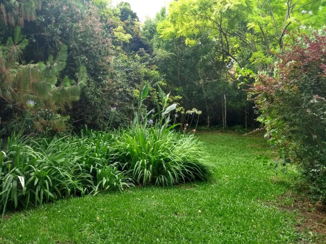 Chalet para 8 o 9 personas, pegado al Bosque Peralta Ramos y a 10 cuadras de las mejores playas del sur de Mar del Plata