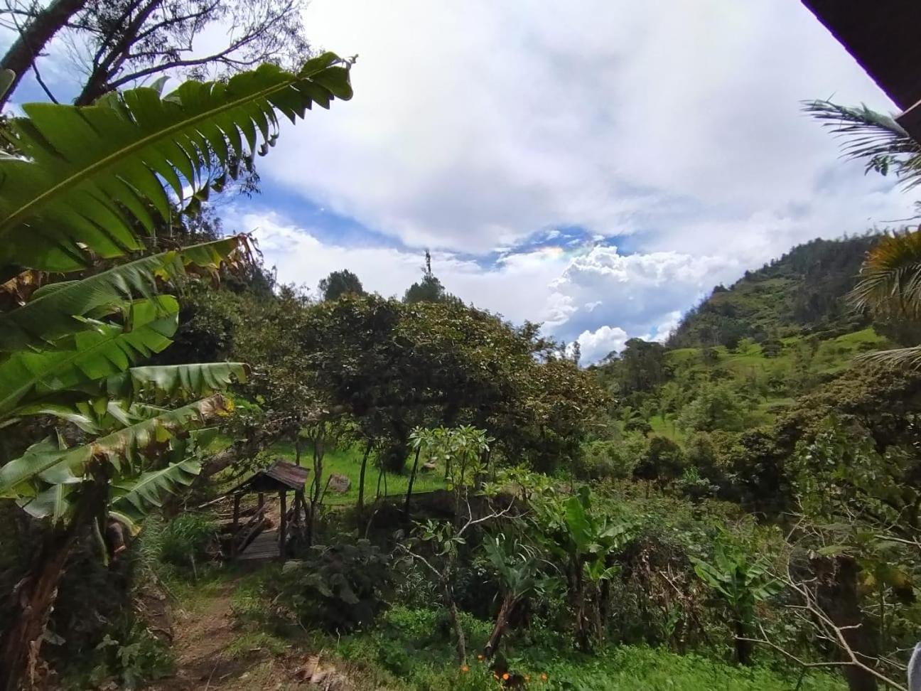 LA ROCA Tibaná