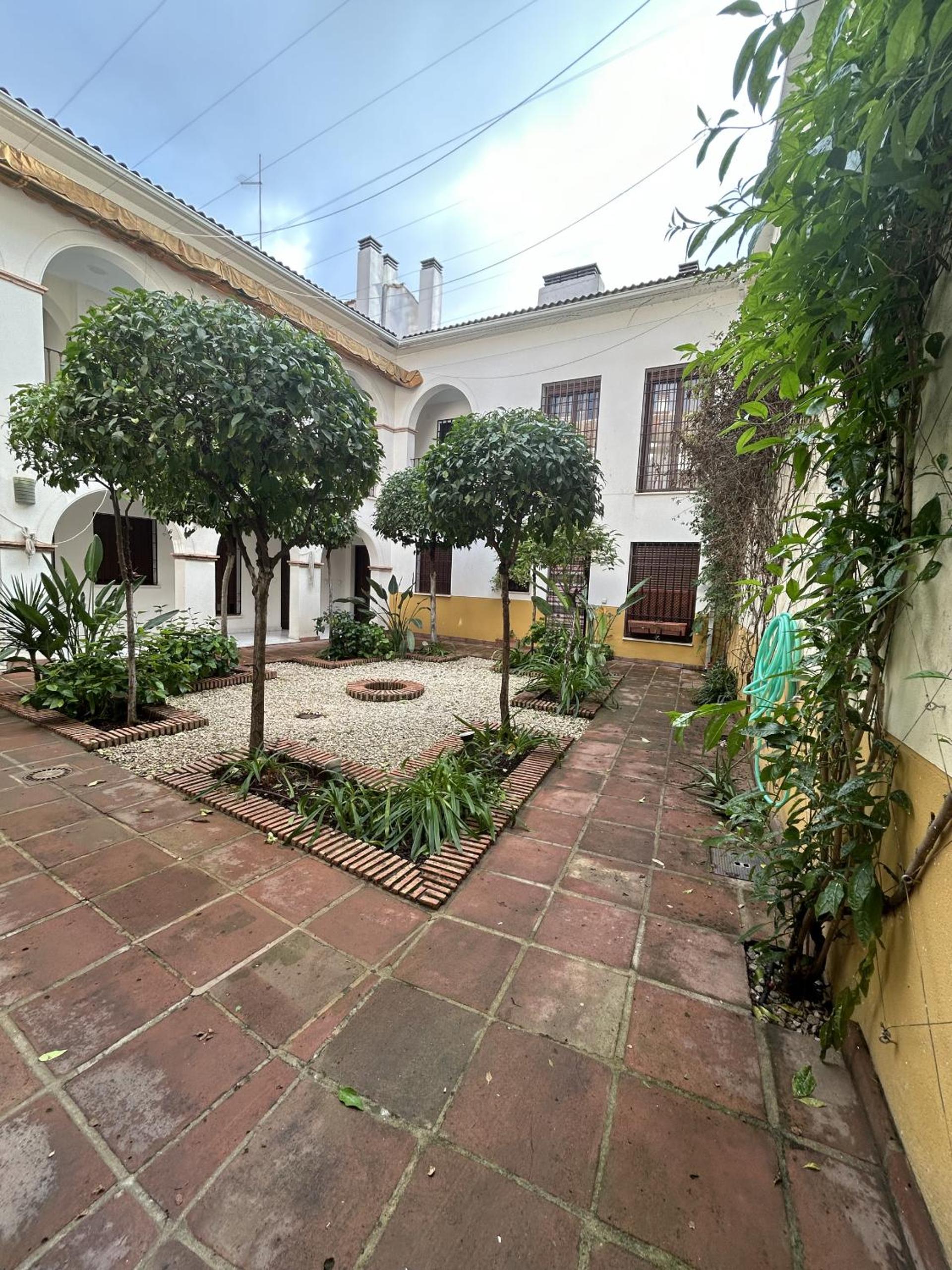 AT Alcántara