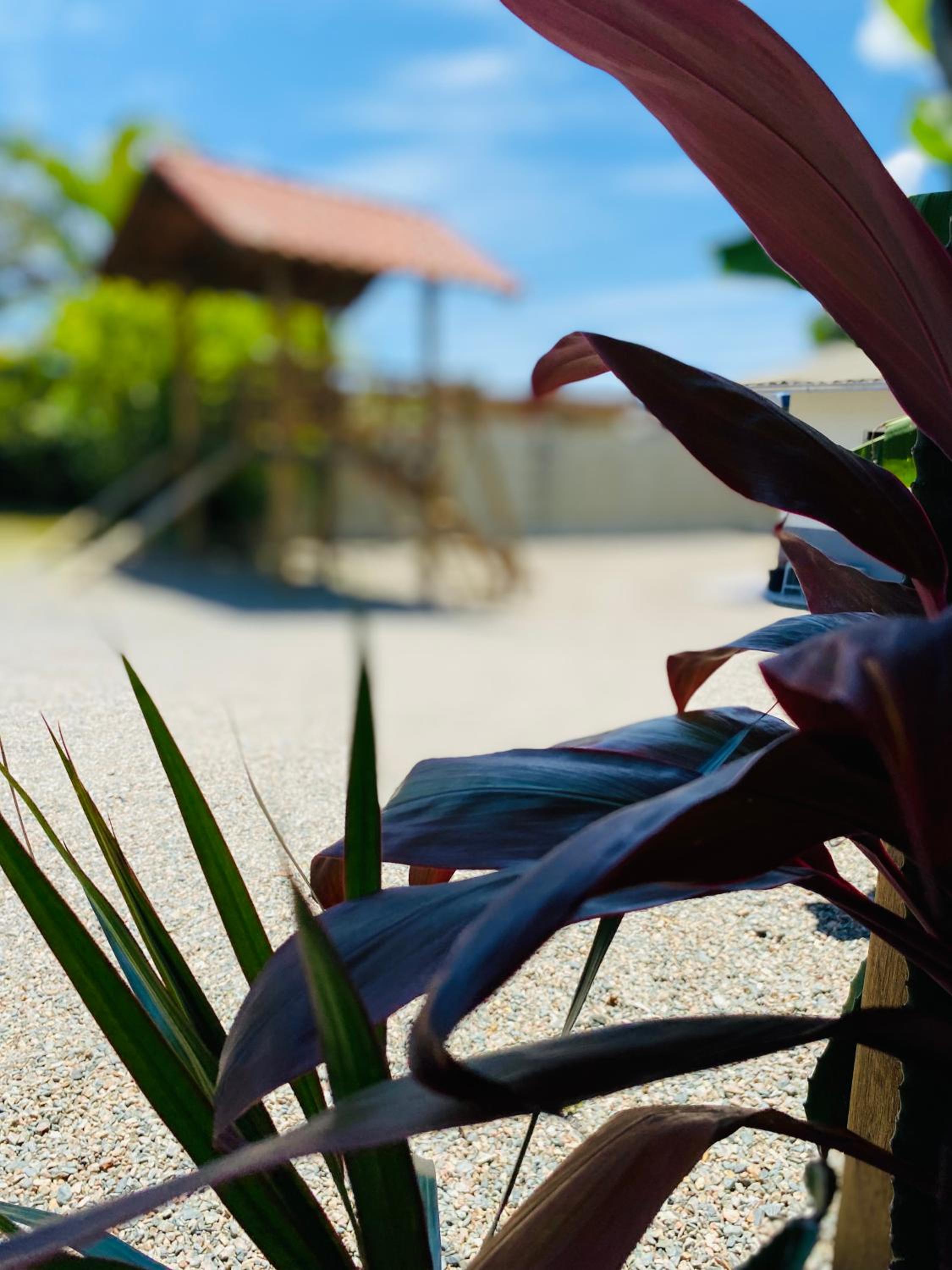 Chalés do Parque Hospedagem