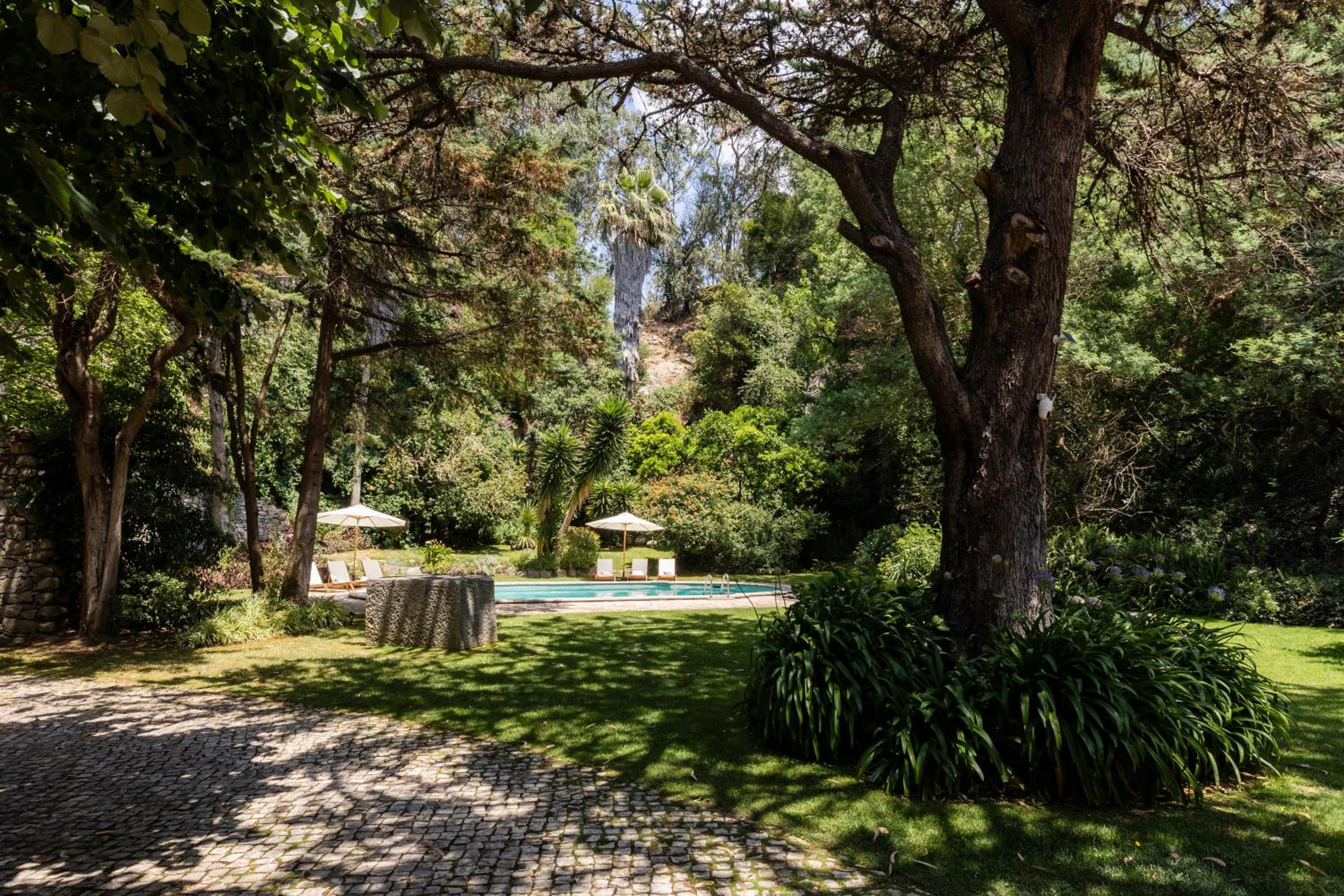 Hideaway Paradise by CadenzaLux