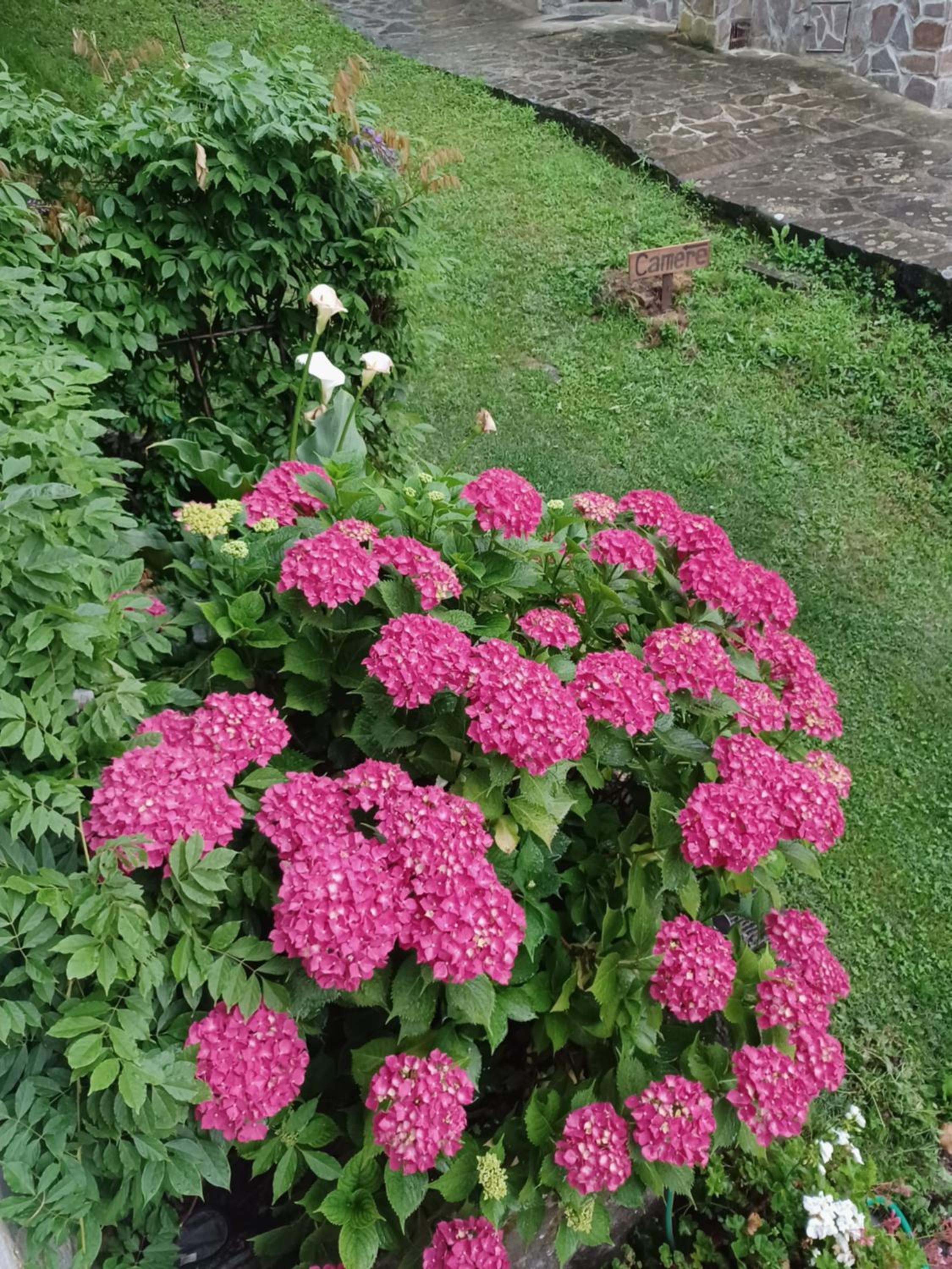 B&B DANIELA affittacamere view 5