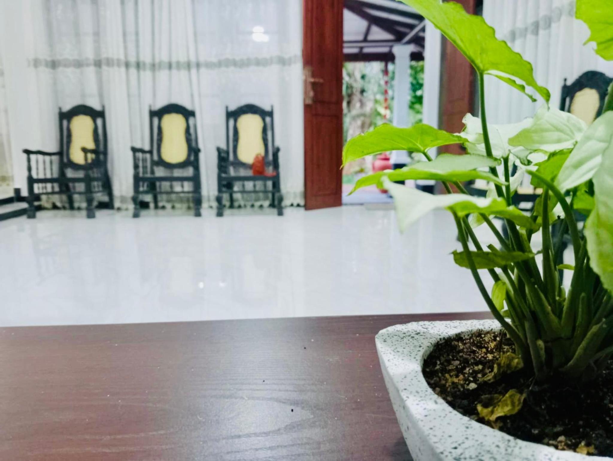 Villa Diyon Dikwella