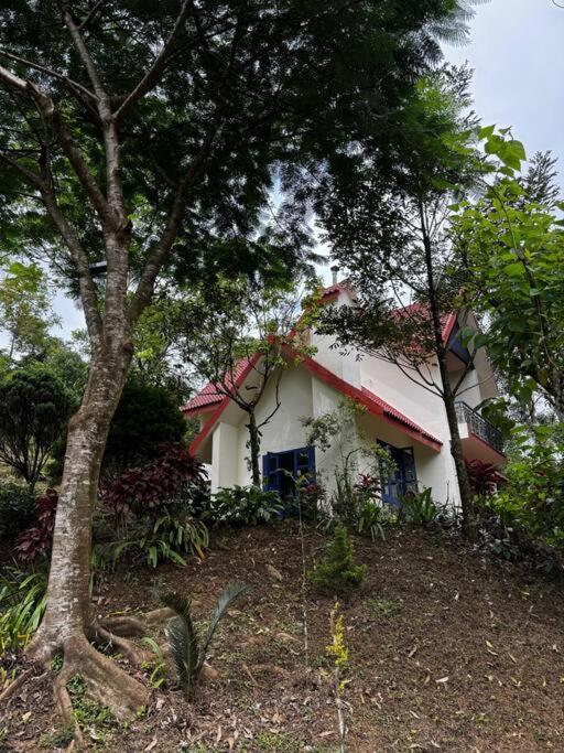 Silver oaks plantation cottage