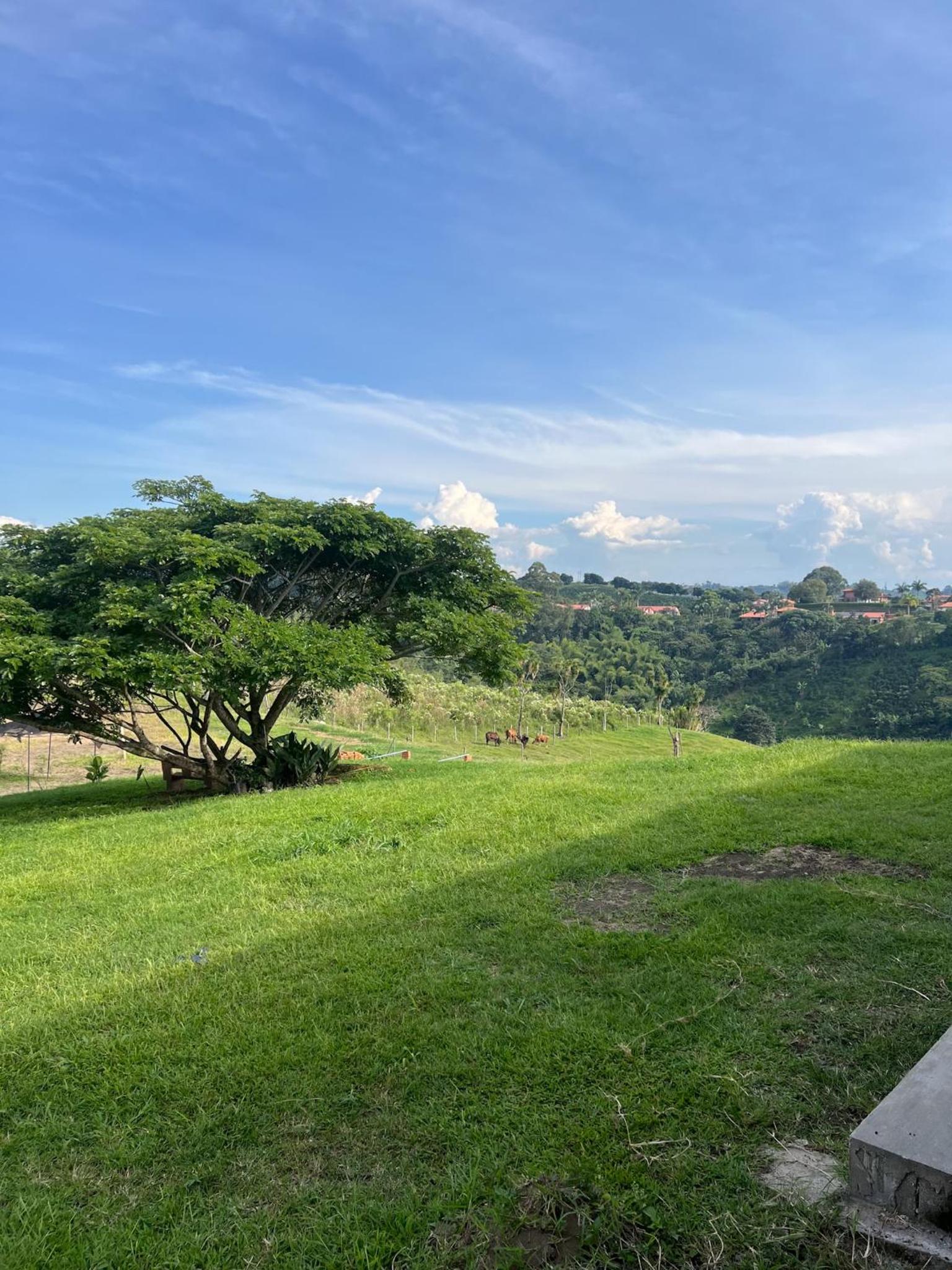 Apartamento en Pereira