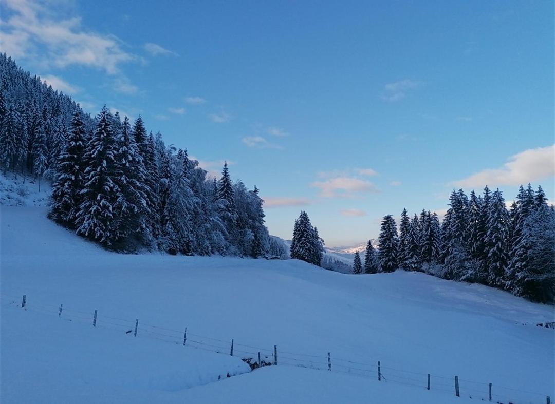 Winterreitgut